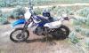 IMAG0065.jpg