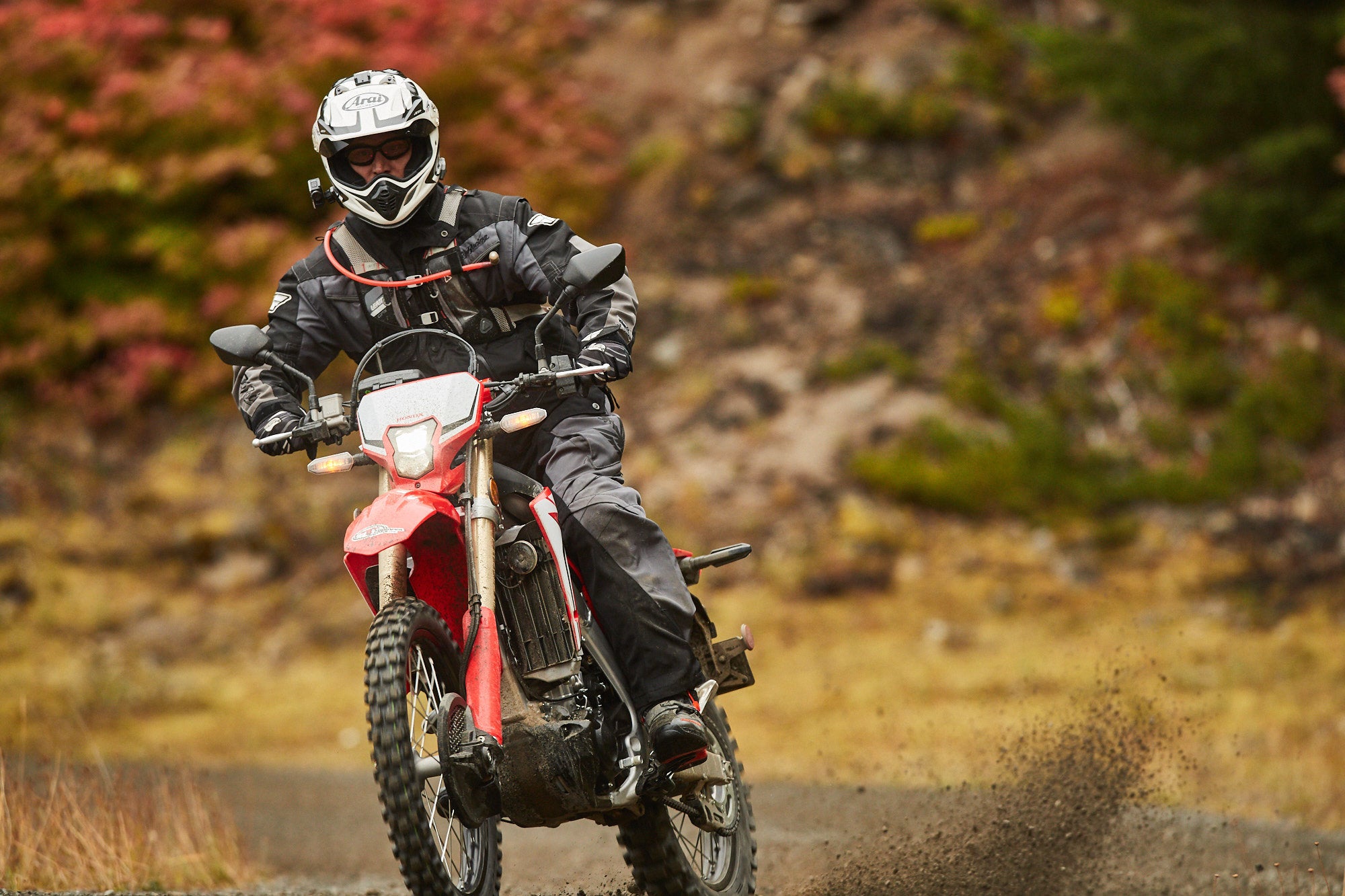 Full Review of the 2019 Honda CRF450L Dual Sport