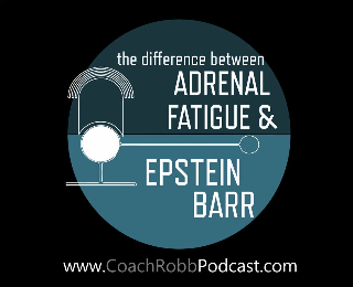 Coach Robb Podcast #26 - The Difference Between Epstein Barr, Adrenal Fatigue and Chronic Fatigue Syndrome