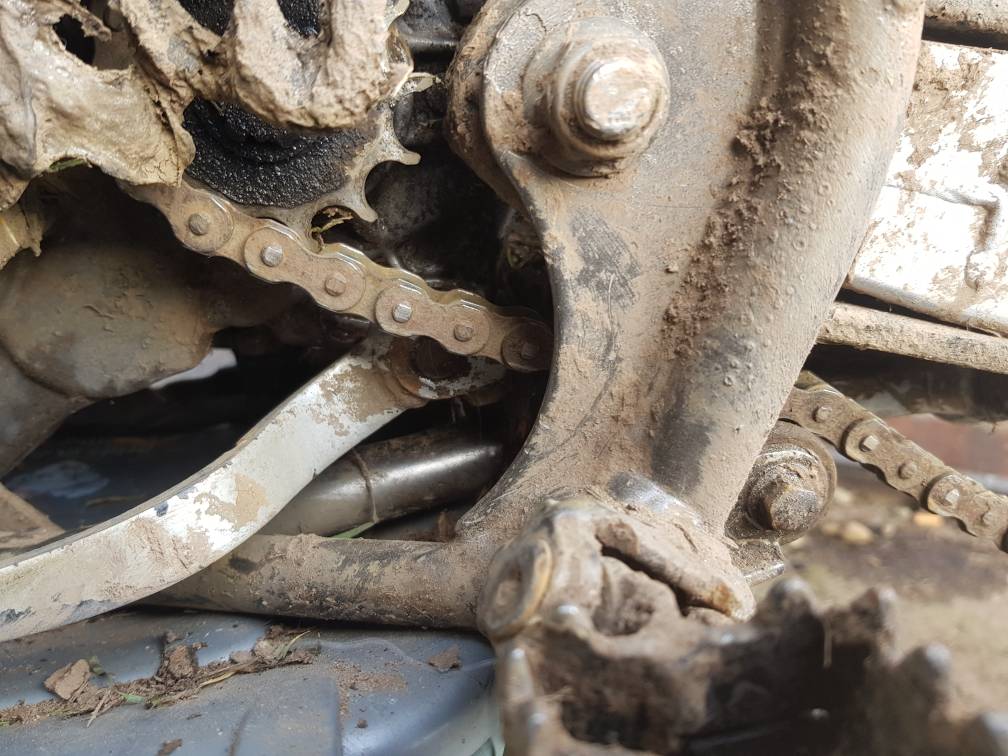 burning gear oil? Kawasaki 2 Stroke ThumperTalk