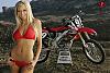 Anyone riding blue diamond, snake reek, or speed citie Saturday? - last post by nickkx_f