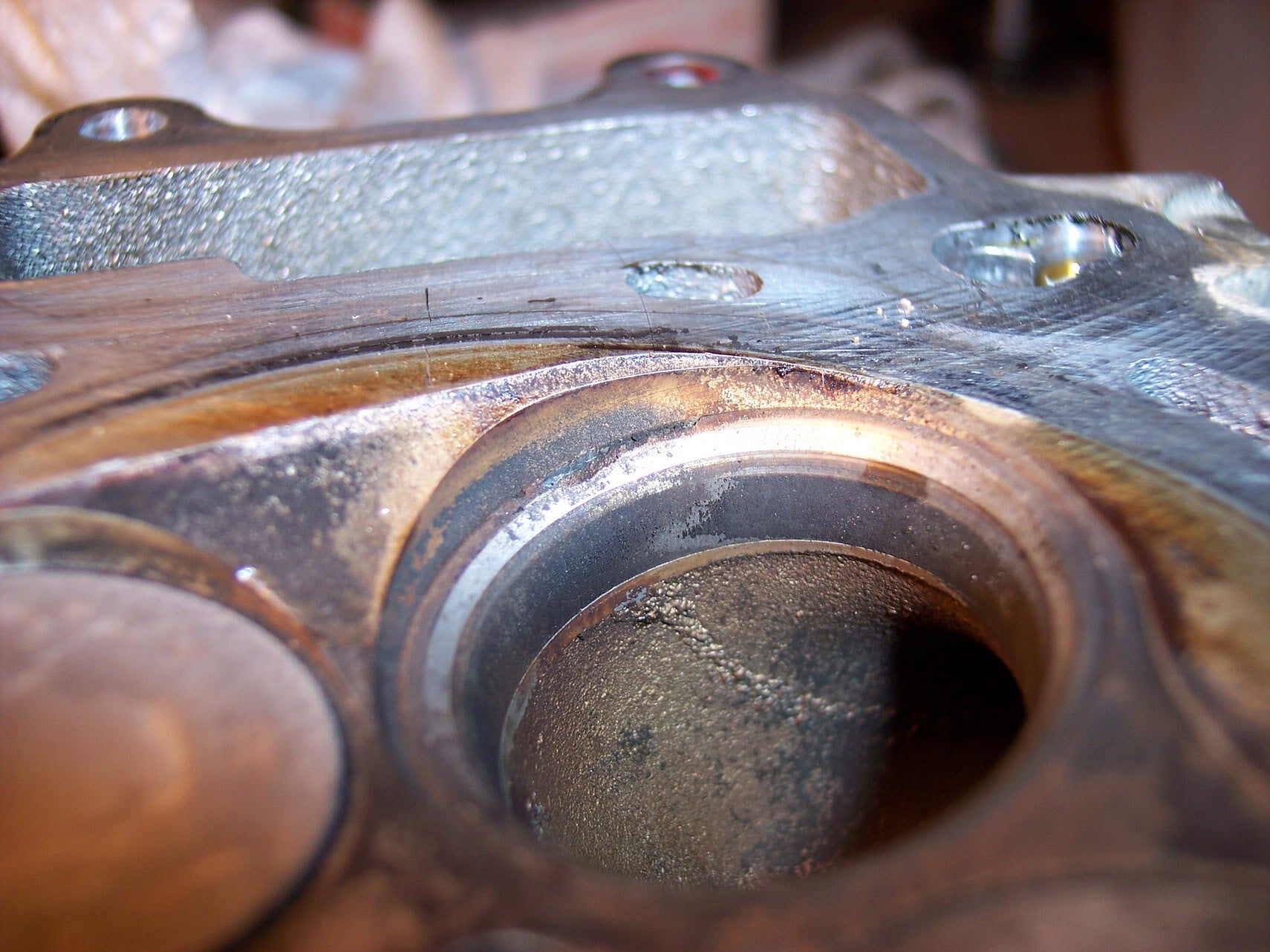 Anyone seen a broken valve seat before? Pictures of one. CRF250X ThumperTalk