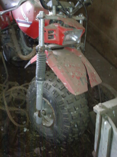 Honda 250sx? - 3 Wheeler 