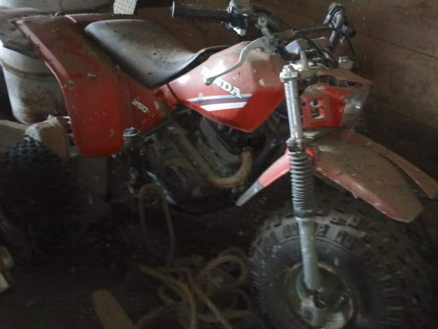 Honda 250sx? - 3 Wheeler 