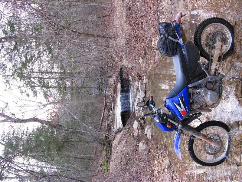 Best All Around Tires DR650 DR ThumperTalk