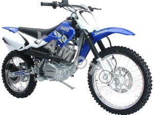 redcat dirt bike