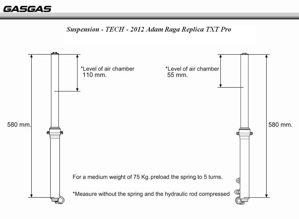 fork oil level